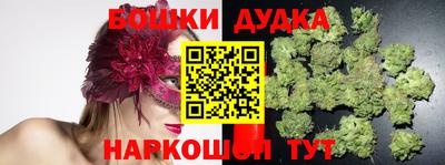 прущие крисы Гусев