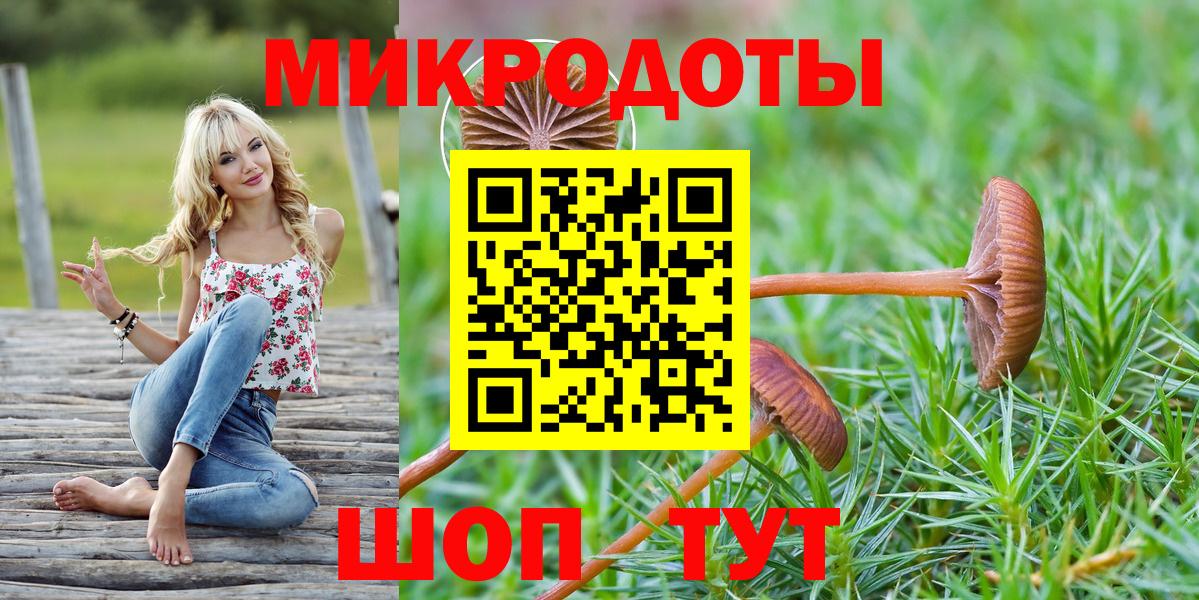 купить закладку  Галлюциногенные грибы Psilocybine cubensis  Вход с VPN  Нальчик 